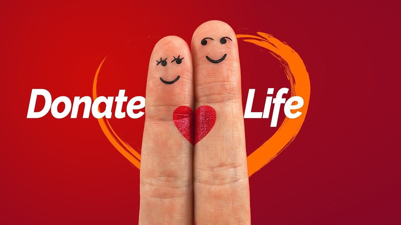 organ donation heart finger life 4301527
